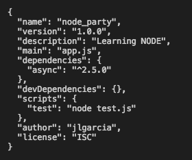 npm init example