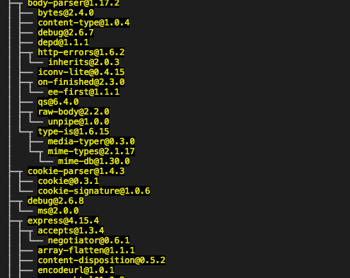 npm install